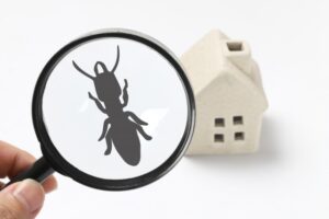 ヒノキ材で家を建てればシロアリ対策は万全? ヒノキ材で家を建てればシロアリ対策は万全?