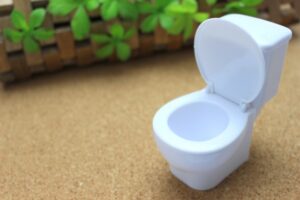 「トイレで流せる」商品はトイレに流すと故障の原因になる!? 「トイレで流せる」商品はトイレに流すと故障の原因になる!?